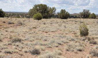 138 Jeff Lake Rd (CR N9230), Concho, AZ 85924