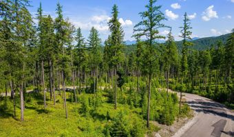 664 Saddlehorn Trl, Bigfork, MT 59911