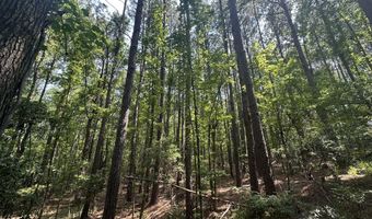 Ridge Road lot E, Appling, GA 30802