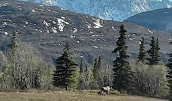 19948 W Glenn Hwy, Chickaloon, AK 99674