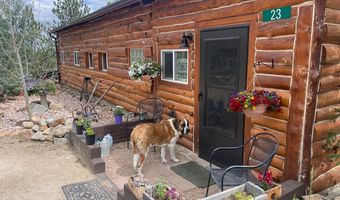 23 2nd Ave, Allenspark, CO 80510