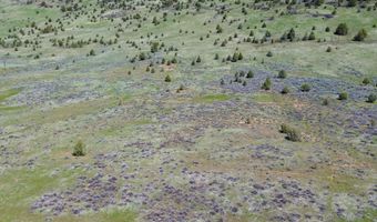848 County Rd, Adin, CA 96006