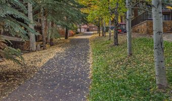 731 S Mill St 3A, Aspen, CO 81611