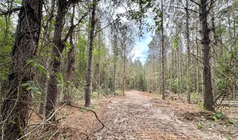 3 County Road 5112, Ethel, MS 38829