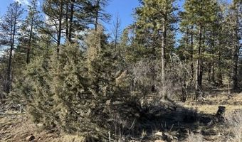Badger Lane, Bonanza, OR 97623