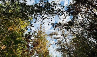 644 Ash-Harrel Loop, Abbeville, GA 31001
