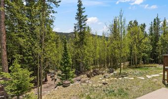 366 Quartzville Rd, Alma, CO 80420
