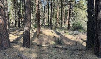 Thunder Bear Road, Bonanza, OR 97623