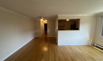 205 W Miner St 407, Arlington Heights, IL 60005