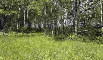 Samuelson Road-Sec22, Angora, MN 55703