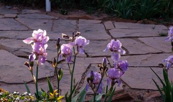 927 CAMINO VISTA RIO, Bernalillo, NM 87004