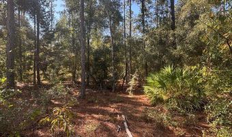 Lot 10 16th Ave, Bell, FL 32619