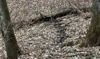 Simons Rd, Alma, WI 54610