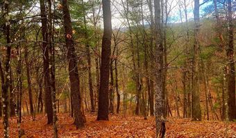 KING ST, Basye, VA 22810