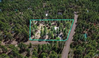 14 Pine Cone Dr, Bayfield, CO 81122