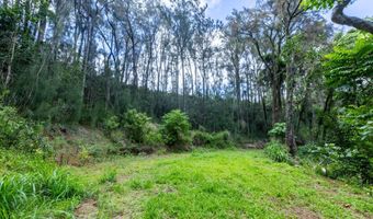 54-1749 PAIPO KANE Rd, Kapaau, HI 96755