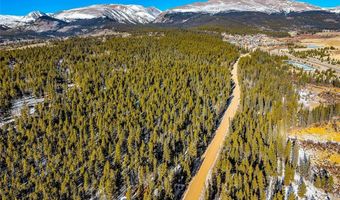 COUNTY ROAD 19 lot 0, Alma, CO 80420