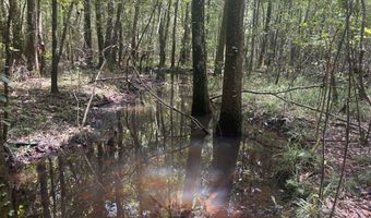 000 Pebble Cove Rd, Abbeville, AL 36310