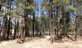8 B County Road 2267 Escudilla Rd, Alpine, AZ 85920