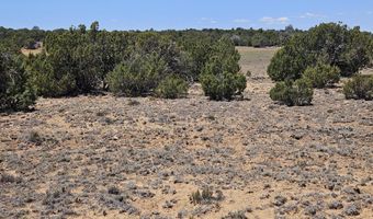 ACR N8388 and N8385, Concho, AZ 85924
