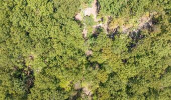 20181 N Fork River Rd, Abingdon, VA 24210