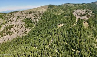 1710 Tower Mountain Rd, Blanchard, ID 83804