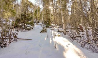 45 And 46 Sacramento Dr, Angel Fire, NM 87710