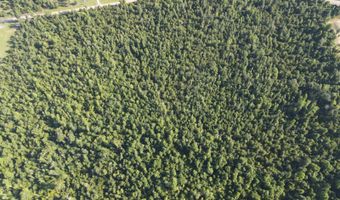 TBD NW Shuman Ferry Rd, Altha, FL 32421
