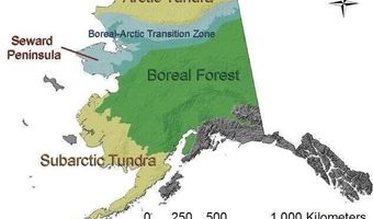 FF16167 Native Allotment Parcel, Bethel, AK 99559