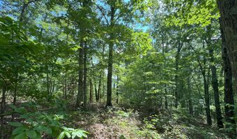 Bayside Boulevard lot 14, Bean Station, TN 37708