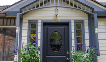 229 W Hallam St, Aspen, CO 81611