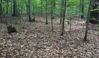 10-3 9 Tobey Rd, Campton, NH 03223