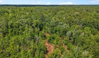 4814 NW 244 Ave, Alachua, FL 32615