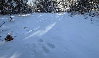 US-1 lot 10, Baring Plt, ME 04694