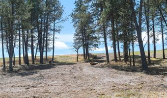 lot O, Belle Fourche, SD 57717