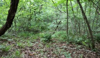 Whiskey Creek Lane, Batesville, AR 72501