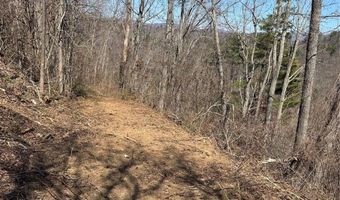 140 Summit Tower Cir, Asheville, NC 28804