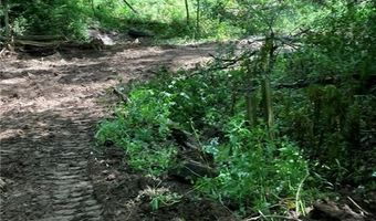 N3953-201 Bear Pen Road, Arkansaw, WI 54721