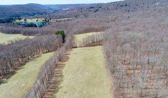 Lot 2 Doig Hollow Road, Andes, NY 13731