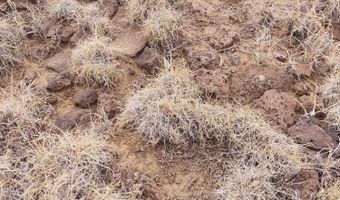 30 N 3528, Concho, AZ 85924