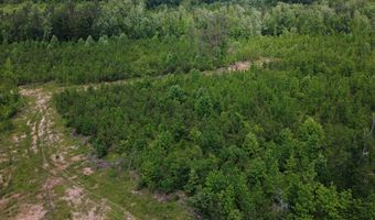 Tucker Road lot 8, Bath Springs, TN 38311