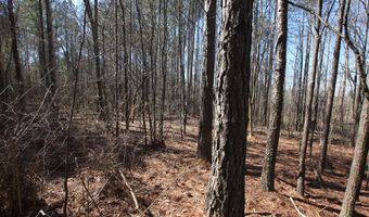 0 Highway 100, Tallapoosa, GA 30176
