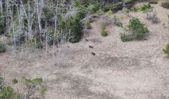 5280 Cathro Rd, Alpena, MI 49707