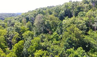 TBD Wilderness WY, Anderson, MO 64831