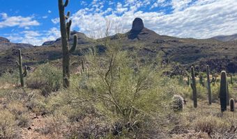 S Tillys Trail, Black Canyon City, AZ 85324