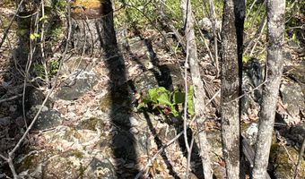 011-010 2 Monument Rd, Amity, ME 04471