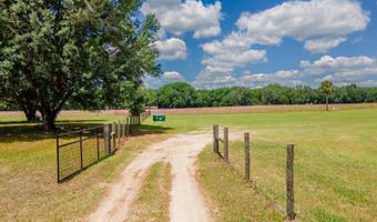 4381 NE 105TH Pl, Anthony, FL 32617