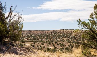 El Rito Estates, Abiquiu, NM 87510