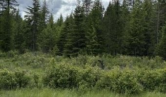 NNA Good Hope Road, Athol, ID 83801