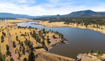 17 County Road 2114, Alpine, AZ 85920